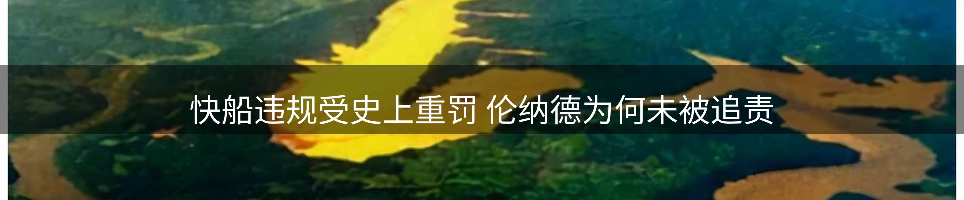 公司播报
